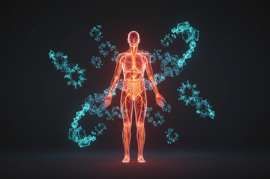 Inflammation — The Silent Enemy of Peak Performance