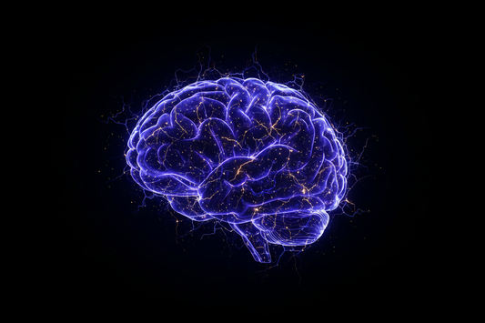 Neuroplasticity — How to Rewire Your Brain for Peak Performance at Any Age