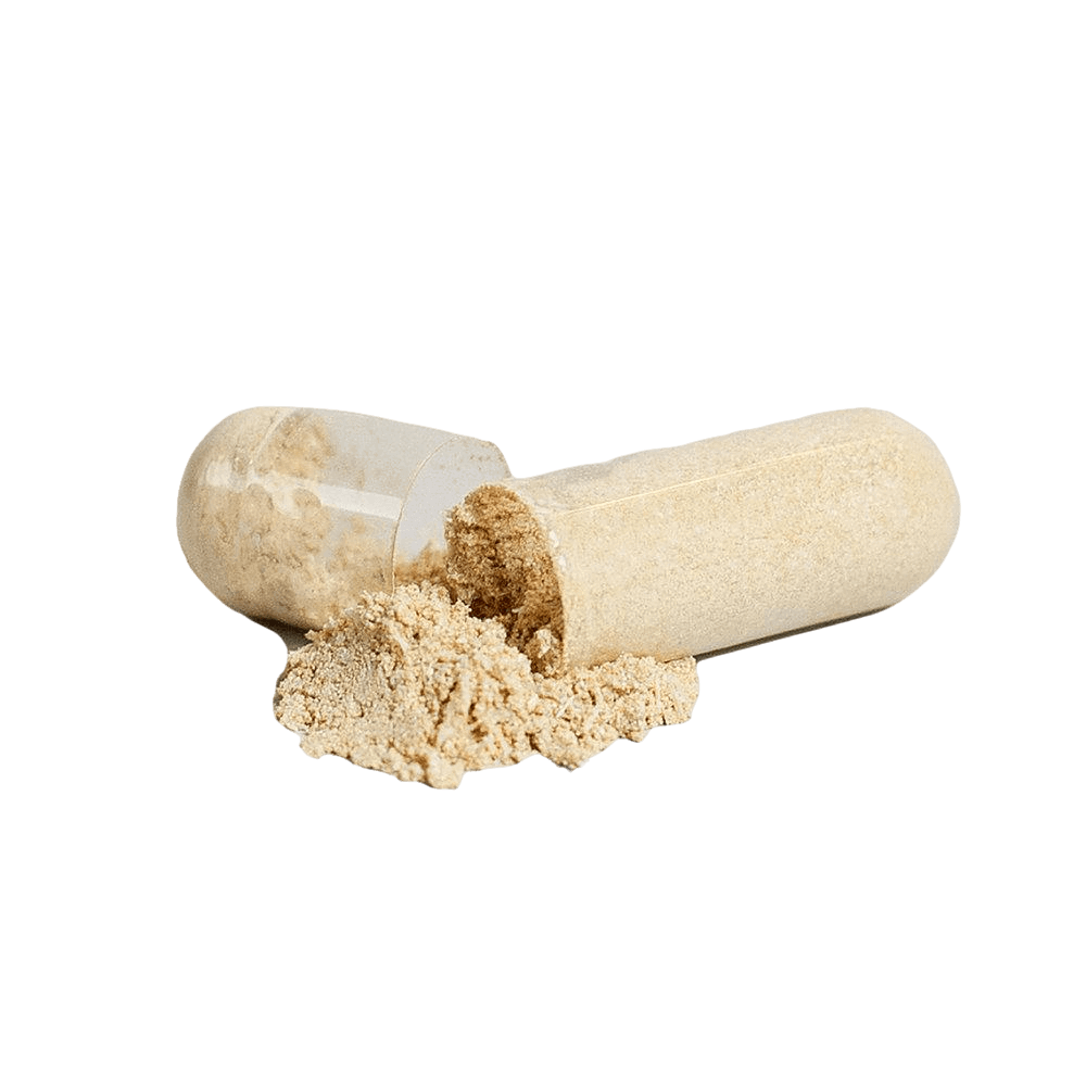 Zen Mode™ Daily Ashwagandha Capsules
