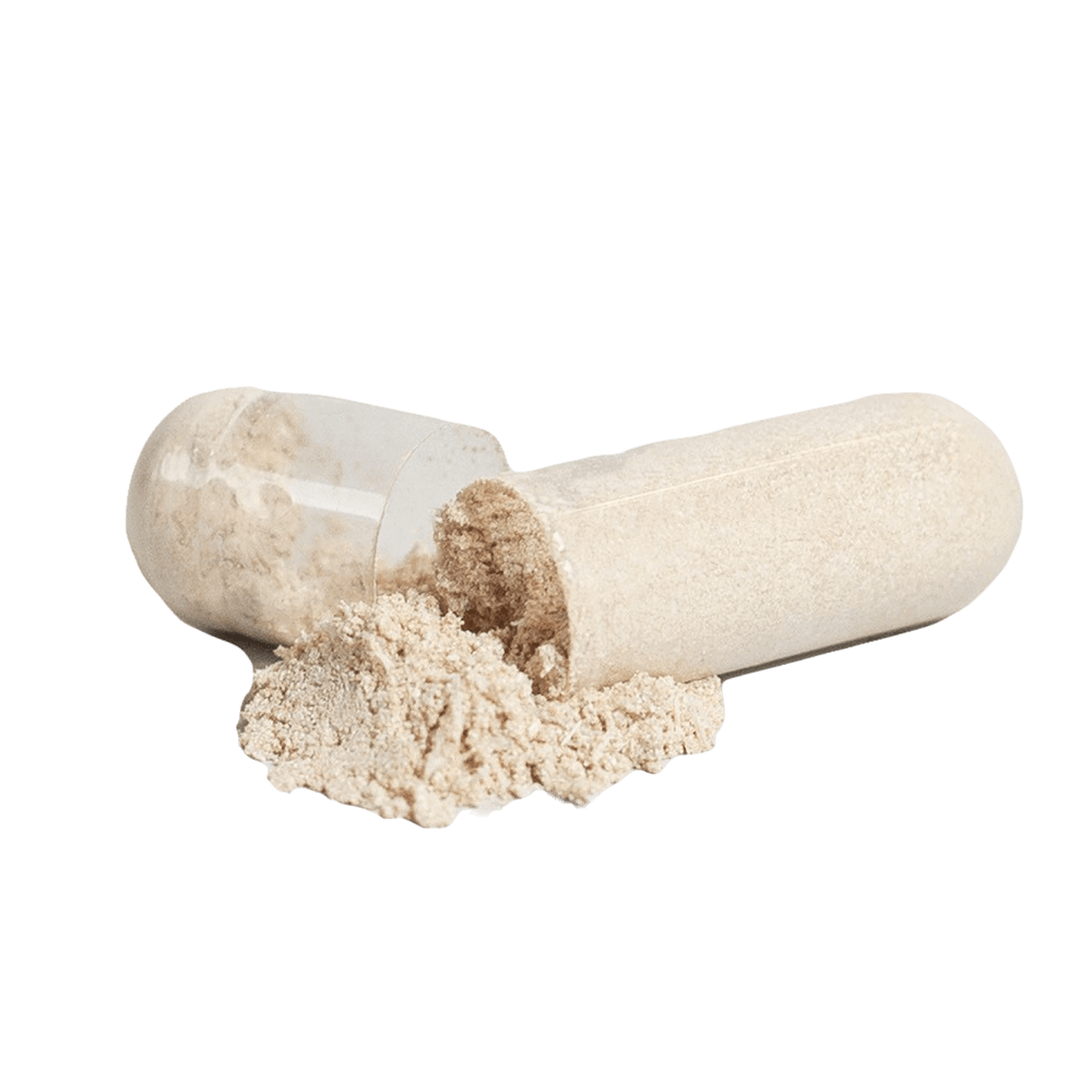NeuroForge™ Nootropic Focus Capsules
